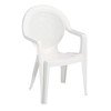 Picture of Trinidad Commercial Plastic Resin Stacking Armchair - 8 lbs.