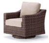 Telescope Lake Shore Outdoor Cushion Swivel Chair with Wicker Frame