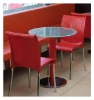 Regina Plastic Resin Dining Chair with Armless Aluminum Frame