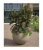 36" Commercial Round Concrete Planter