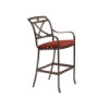 Palladian Strapped Bar Stool with X Style Aluminum Back