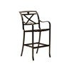 Palladian Strapped Bar Stool with X Style Aluminum Back