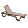 Marina Sling Chaise Lounge with Plastic Resin Frame