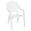 Pacific Fanback Stacking Commercial Plastic Resin Armchair