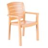 Acadia Stacking Commercial Plastic Resin Dining Armchair