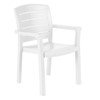 Acadia Stacking Commercial Plastic Resin Dining Armchair