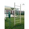 Vertical Ladder - In-Ground Mount and Powder-Coated
