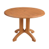 42" Round Atlanta Teakwood Decor Plastic Resin Table