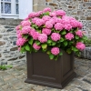 Fairfield Commercial Square 28" x 28" Planter with Impact-Resistant Frame - 45 lbs.