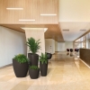 Modesto Planter Package with Polyethylene Frames