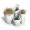 Modesto Planter Package with Polyethylene Frames