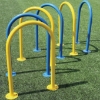Dog n' Play Park Run Through Hoop,  Galvanized Steel