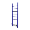 Vertical Ladder
