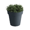 Rotoform Polymer Planter