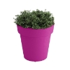 Rotoform Polymer Planter