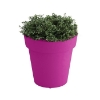 Rotoform Polymer Planter