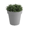 Rotoform Polymer Planter