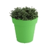 Rotoform Polymer Planter