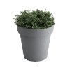 Rotoform Polymer Planter