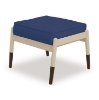 Welles Outdoor Cushion Ottoman