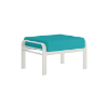 Picture of Trelon Ottoman Deep Cushion and Aluminum Frame - 21 lbs.