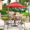 Picture of Telescope Cadiz Cast Aluminum Dining Chair