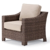 Picture of Telescope Lake Shore Outdoor Cushion Arm Chair with Wicker Frame
