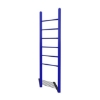 Picture of Powder Coated Steel Vertical Ladder, Inground Mount