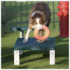 Dogipark Rectangular Thermoplastic Dog Bone Platform Table - Lifestyle