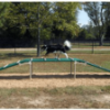 Dog Walk Balance Ramp Dog Park Exercise Equipment - Lifestyle
