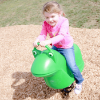 Filbert Frog Spring Rockers Playground Equipment for Parks