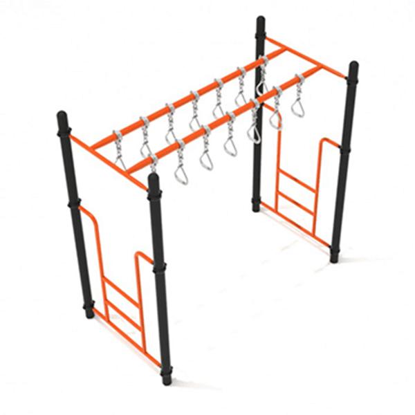 PTC010 - Double Straight Swinging Ring Ladder Playground Monkey Bars - Ages 5 to 12 Yrs.