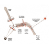 PGP017 - Timms Hill Playground Obstacle Course - Ages 5 to 12 Yrs. - Details