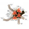 PKP243 - San Angelo Commercial Playground Equipment - Ages 5 to 12 Yrs. - Top