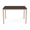 A 42" x 60" rectangular commercial outdoor bar table featuring a dark wood-grained Northeastern Walnut MGP slatted top with an umbrella hole, mounted on a textured Antique Beige aluminum frame.